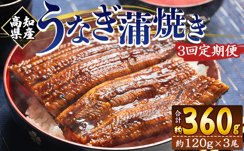 【３回定期便】高知県産養殖うなぎ蒲焼き 100～120g 3尾 Wfb-0042 3尾【3回定期便】 100～120g