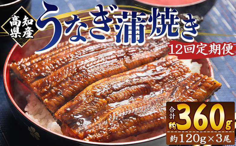 【１２回定期便】高知県産養殖うなぎ蒲焼き 100～120g 3尾 Wfb-0044 3尾【12回定期便】 100～120g