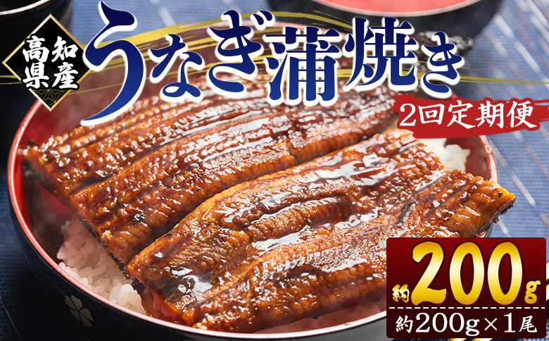 【２回定期便】高知県産養殖うなぎ蒲焼き 約200g×１尾 Wfb-0045 1尾【2回定期便】 約200g