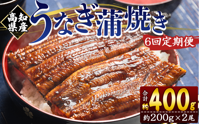 【６回定期便】高知県産養殖うなぎ蒲焼き 約200g×2尾 Wfb-0051 2尾【6回定期便】 約200g