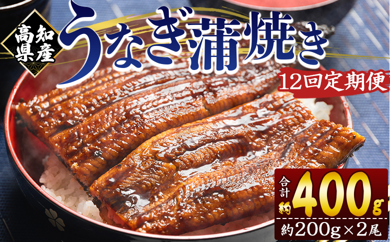 【１２回定期便】高知県産養殖うなぎ蒲焼き 約200g×2尾 Wfb-0052 2尾【12回定期便】 約200g