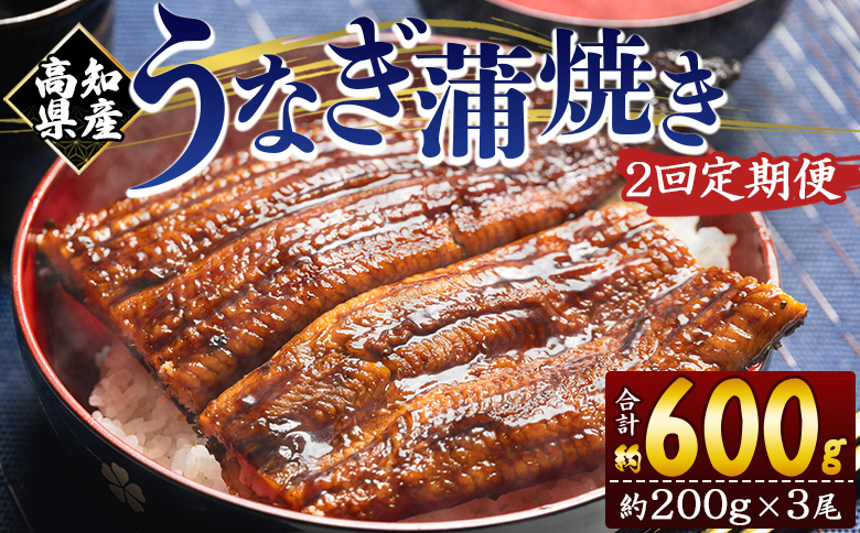 【２回定期便】高知県産養殖うなぎ蒲焼き 約200g×３尾 Wfb-0053 3尾【2回定期便】 約200g