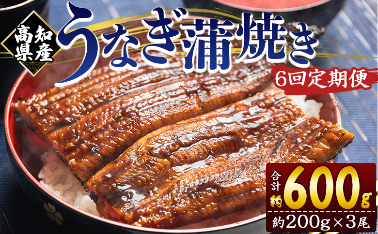 【６回定期便】高知県産養殖うなぎ蒲焼き 約200g×３尾 Wfb-0055 3尾【6回定期便】 約200g