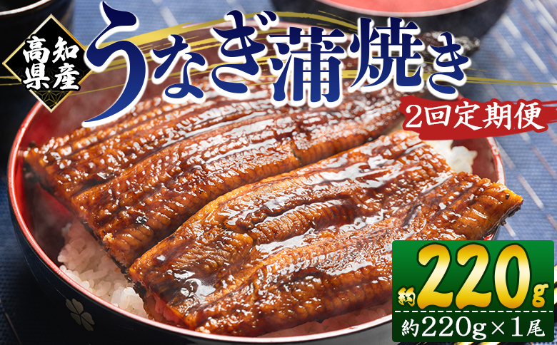 【２回定期便】高知県産養殖うなぎ蒲焼き 約220g×１尾 Wfb-0057 1尾【2回定期便】 約220g