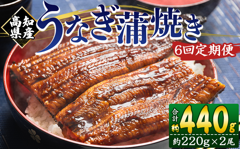【６回定期便】高知県産養殖うなぎ蒲焼き 約220g×2尾 Wfb-0063 2尾【6回定期便】 約220g