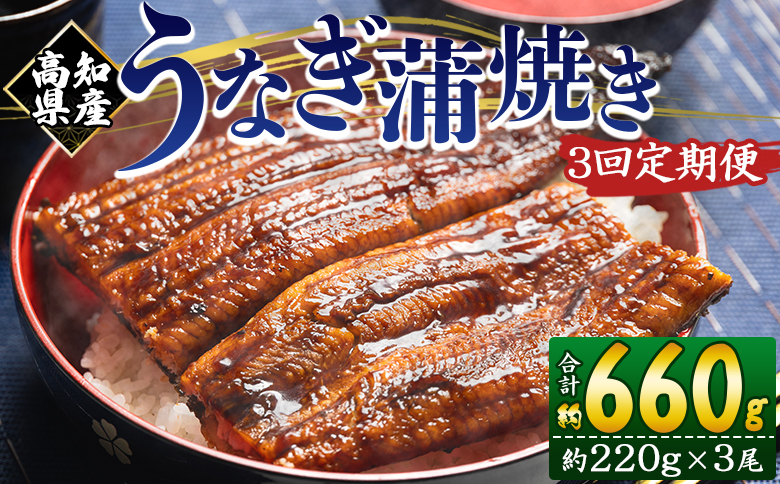 【３回定期便】高知県産養殖うなぎ蒲焼き 約220g×３尾 Wfb-0066 3尾【3回定期便】 約220g