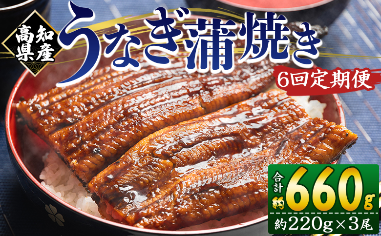 【６回定期便】高知県産養殖うなぎ蒲焼き 約220g×３尾 Wfb-0067 3尾【6回定期便】 約220g