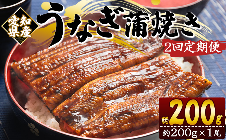 【２回定期便】国産養殖うなぎ蒲焼き 約200g×1尾(愛知県産鰻) Wfb-0069 1尾【2回定期便】 約200g