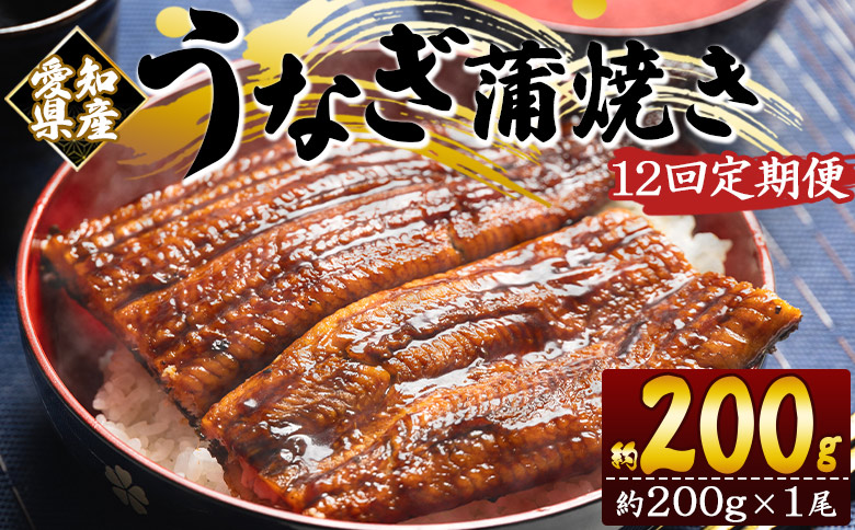 【１２回定期便】国産養殖うなぎ蒲焼き 約200g×1尾(愛知県産鰻) Wfb-0072 1尾【12回定期便】 約200g