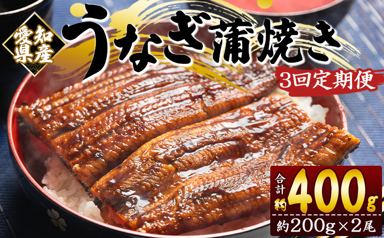 【３回定期便】国産養殖うなぎ蒲焼き 約200g×2尾(愛知県産鰻) Wfb-0074 2尾【3回定期便】 約200g