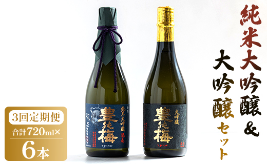 3回定期便  純米大吟醸＆大吟醸セット 720ml各1本（合計6本） - お酒 純米酒 日本酒 地酒 飲み比べ 龍奏 鶯寿 宅飲み お祝い 高木酒造株式会社 高知県 香南市 【冷蔵】Wgs-0142