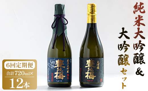 6回定期便 純米大吟醸＆大吟醸セット 720ml各1本（合計12本） - お酒 純米酒 日本酒 地酒 飲み比べ 龍奏 鶯寿 宅飲み お祝い 高木酒造株式会社 高知県 香南市【冷蔵】 Wgs-0143