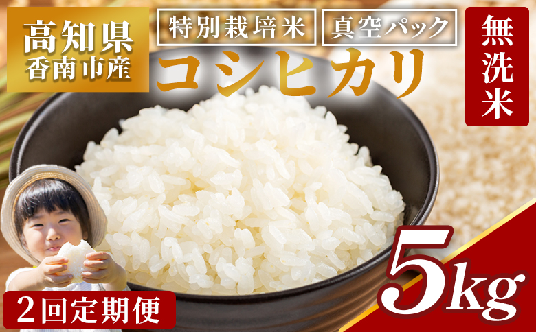 【２回定期便】高知県香南市産 特別栽培米 コシヒカリ 5kg Wnu-0007 2回定期便 約5kg