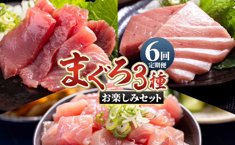 【6回定期便】〈月替わり〉まぐろ ３種 お楽しみセット Wnz-0117