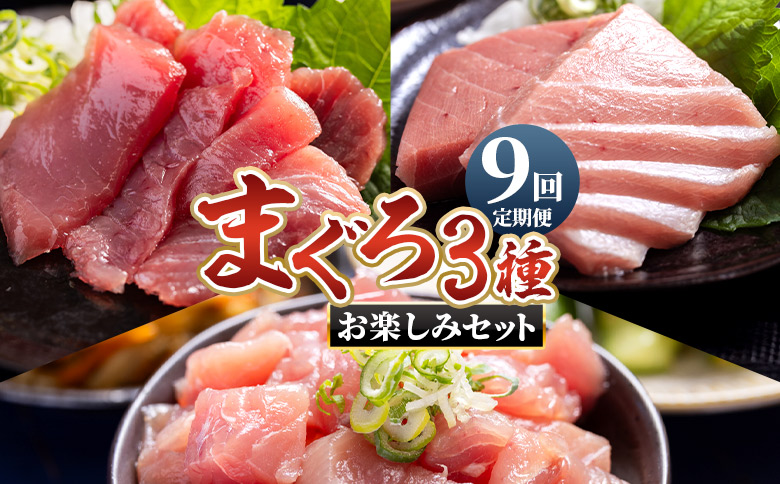 【9回定期便】〈月替わり〉まぐろ ３種 お楽しみセット Wnz-0118