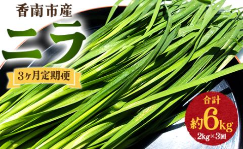 3ヶ月定期便 香南市産 ニラ 合計約6kg（2kg×3回）- にら 韮 香味野菜 やさい 葉物 新鮮 生 料理 もつ鍋 餃子 饅頭 キムチ チヂミ 炒め物 おひたし 直送 国産 高知 Won-0017