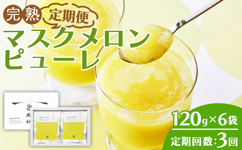 【3回定期便】完熟マスクメロンピューレ 120g×6袋 Wtn-0031