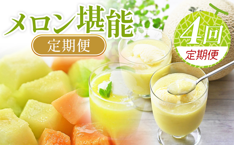 【４回定期便】メロン堪能定期便 Wtn-0042