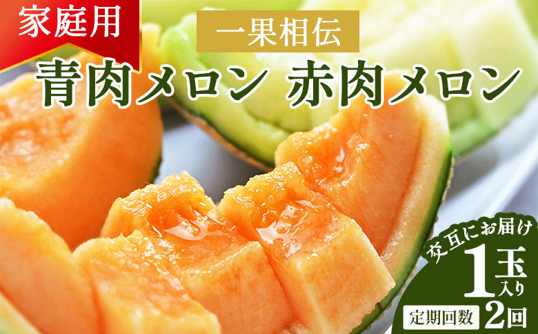 【２回定期便】一果相伝 青肉メロン 赤肉メロン 家庭用 1玉 交互にお届け Wtn-0047