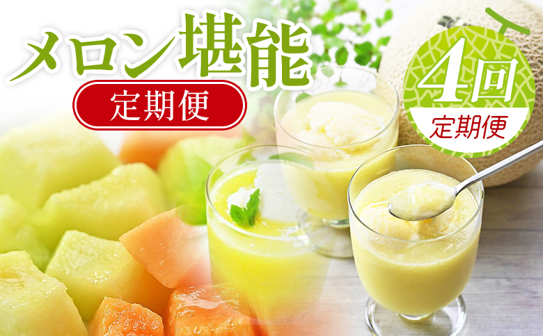 【４回定期便】メロン堪能定期便 Wtn-0054