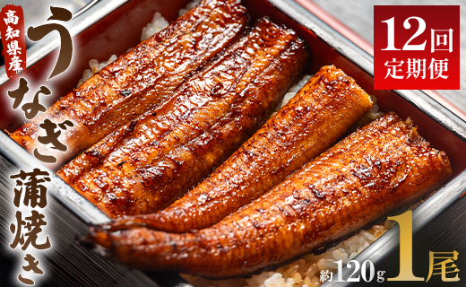 うなぎ 定期便 12回 うなぎ蒲焼き120g 1尾(無頭) 魚介 国産 海鮮 魚 かばやき 鰻 ウナギ 惣菜 おかず お手軽 加工品 加工食品 冷凍 Wun-0022