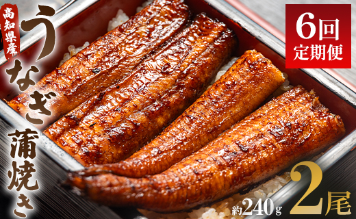 うなぎ 定期便 6回 うなぎ蒲焼き120g 2尾(無頭) 魚介 国産 海鮮 魚 かばやき 鰻 ウナギ 惣菜 おかず お手軽 加工品 加工食品 冷凍 Wun-0025