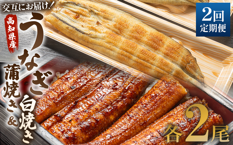 うなぎ 定期便 2回 うなぎ蒲焼き&白焼き120g 2尾(無頭) Wun-0047
