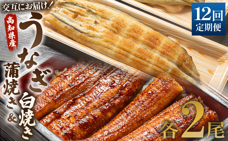 うなぎ 定期便 12回 うなぎ蒲焼き&白焼き120g 2尾(無頭) Wun-0050