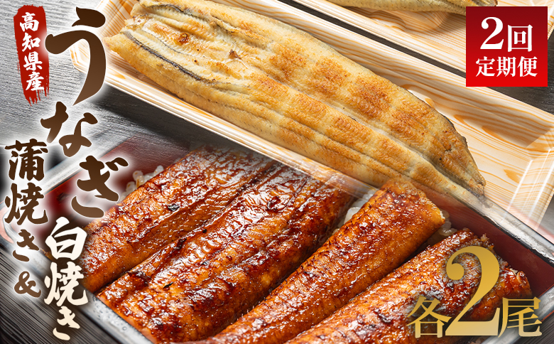 うなぎ 定期便 2回 うなぎ 蒲焼き 白焼き セット 120g 各2尾(無頭) Wun-0055