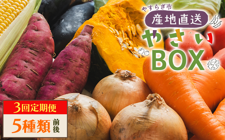 【３回定期便】産地直送やさいＢＯＸ（5種類前後）  国産野菜 朝採れ野菜 厳選野菜 旬野菜 Wyr-0029