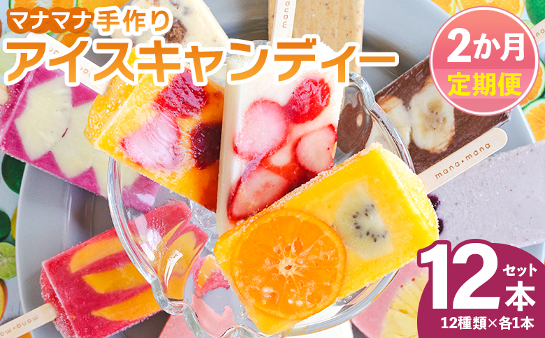 【２回定期便】手作りアイスキャンディー １２本セット Wys-0017