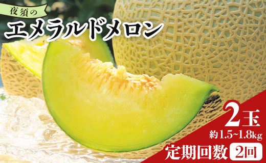 【２回定期便】夜須のエメラルドメロン 2玉 テレビ朝日「ザワつく!金曜日」で特集 紹介 くだもの フルーツ ギフト マスクメロン 青肉 ブランド ギフト 贈答用 ご褒美 高級 1個 お礼 御祝 産地直送 JA 高知県農業協同組合 香南市 常温 Wyu-0060 【2回定期便】 2玉