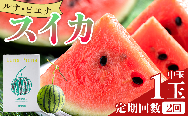 【２回定期便】ルナ・ピエナスイカ(中玉) 1玉 Wyu-0063 1玉【2回定期便】 中玉