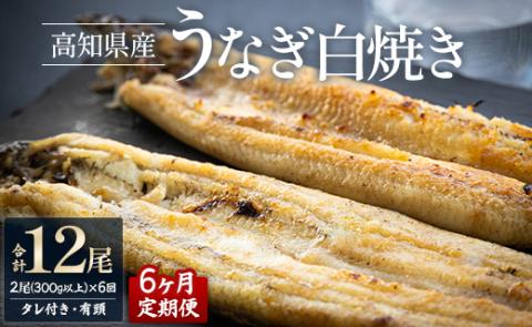 【6ヶ月定期便】高知県産うなぎの白焼き 合計12尾 (2尾300g以上×6回) タレ付き エコ包装 - 鰻 ウナギ しらやき 有頭 つまみ ご飯のお供 ごはん 丼 たれ 簡易 Wyw-0075 2尾【6回定期便】 150～180g
