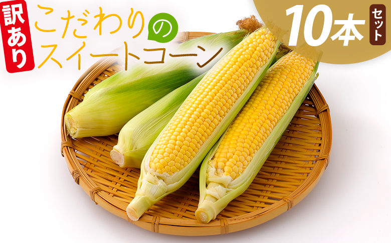 こだわりのスイートコーン 訳あり 10本セット af-0007