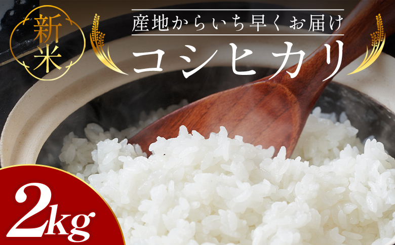 新米 令和7年産 コシヒカリ 2kg - お米 おこめ 国産 米 精米 こしひかり ごはん 白米 ご飯 おにぎり おむすび 料理 調理 防災 非常食 備蓄 早い すぐ届く 早く届く スピード配送 スピード発送 高知県 香南市 at-0045 2kg