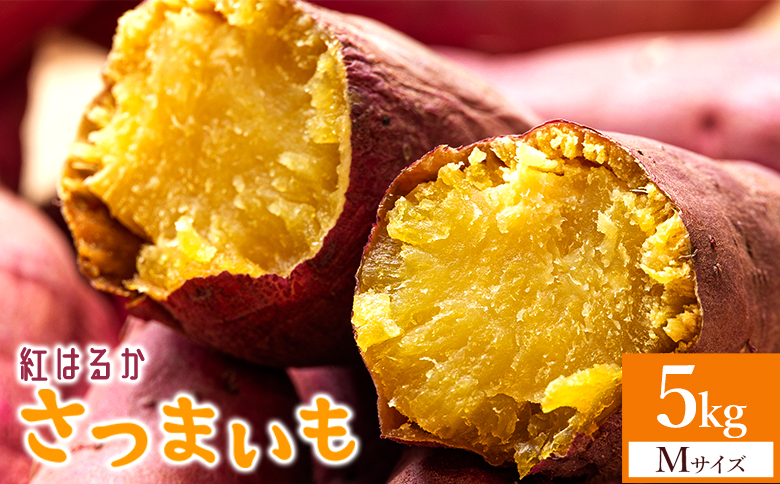 さつまいも(紅はるか) Mサイズ 5kg at-0059 約5kg Mサイズ