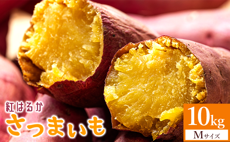 さつまいも(紅はるか) Mサイズ 10kg at-0060 約10kg Mサイズ