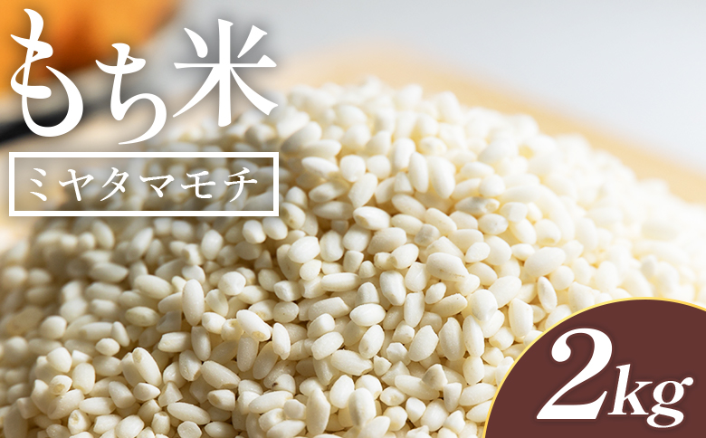 もち米 2kg - ミヤタマモチ 国産 餅 モチ  もちもち おもち おこわ おはぎ ぼたもち お雑煮 赤飯 米 お米 アレンジ 調理 高知県 香南市 常温 at-0069
