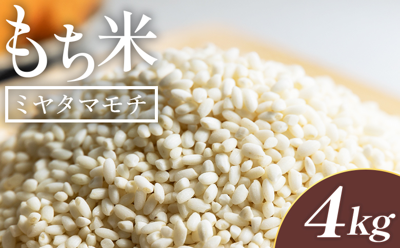 もち米 4kg - ミヤタマモチ 国産 餅 モチ  もちもち おもち おこわ おはぎ ぼたもち お雑煮 赤飯 米 お米 アレンジ 調理 高知県 香南市 常温 at-0070