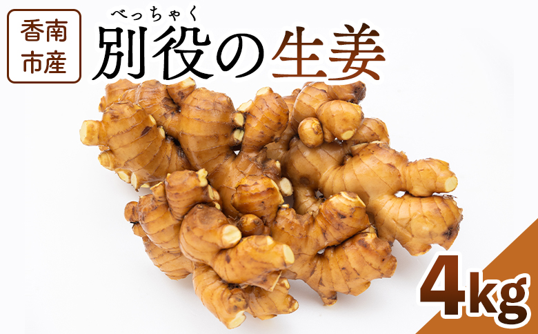 生姜 4kg 香南市産 別役の生姜 bc-0015