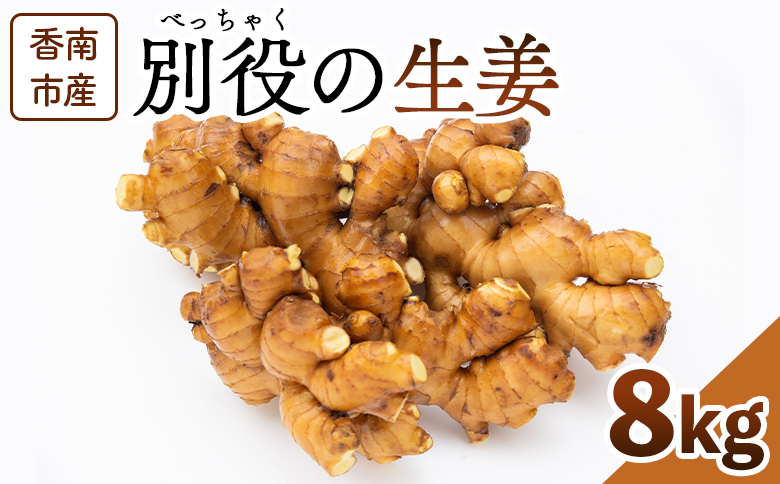 生姜 8kg 香南市産 別役の生姜 bc-0016