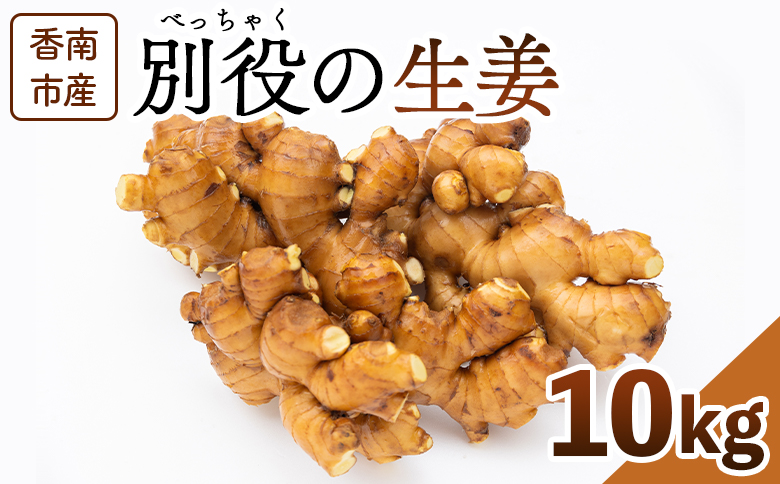 生姜 10kg 香南市産 別役の生姜 bc-0017