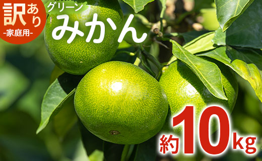 【2026年9月中旬より順次配送】家庭用 訳あり グリーンみかん 約10kg 家庭用 フルーツ みかん 柑橘 be-0113