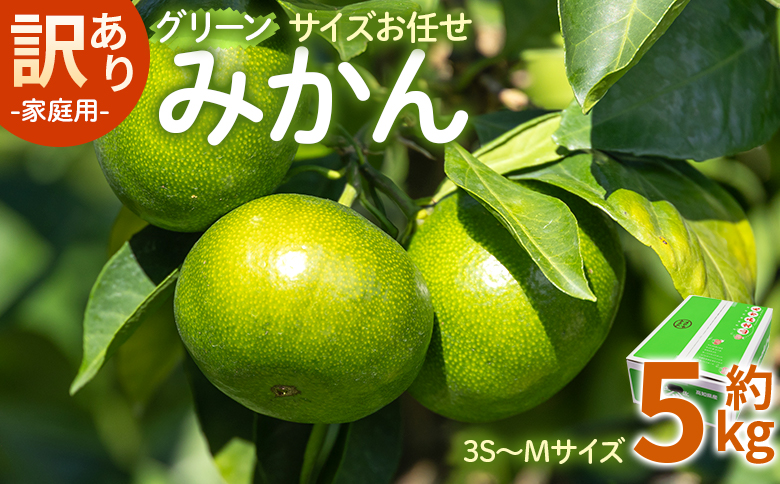 【2026年9月より順次配送】訳あり(家庭用) サイズお任せ グリーンみかん 5kg 3S～Mサイズ be-0117
