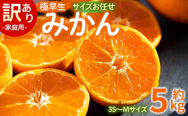 【2026年10月より順次配送】訳あり(家庭用) サイズお任せ 極早生みかん 5kg 3S～Mサイズ be-0118