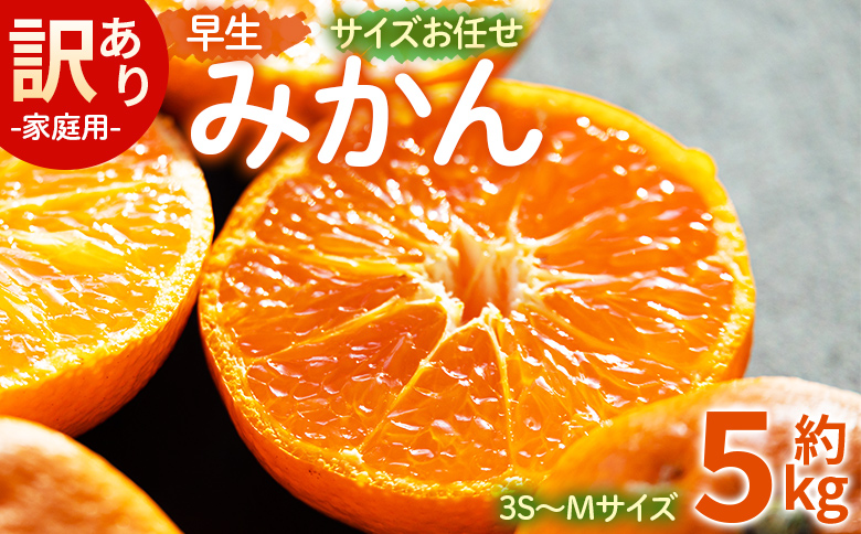 【2026年11月より順次配送】訳あり(家庭用) サイズお任せ 早生みかん 5kg 3S～Mサイズ be-0119