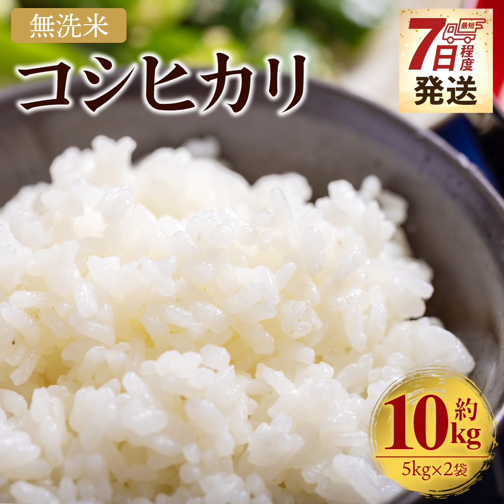 【7日程度で発送】新米 令和7年産 無洗米 コシヒカリ 10kg - お米 白米 精米 早く届く スピード発送 最短配送 早い cs-0002