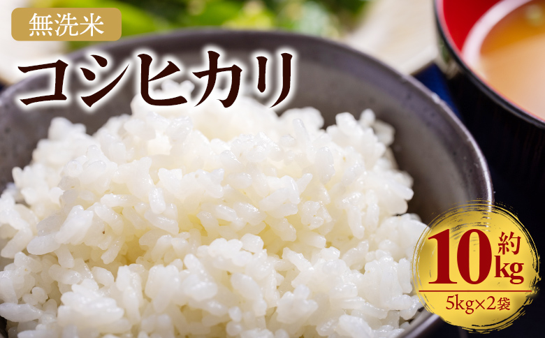 新米 令和7年産 無洗米 コシヒカリ 10kg - お米 白米 精米 cs-0002