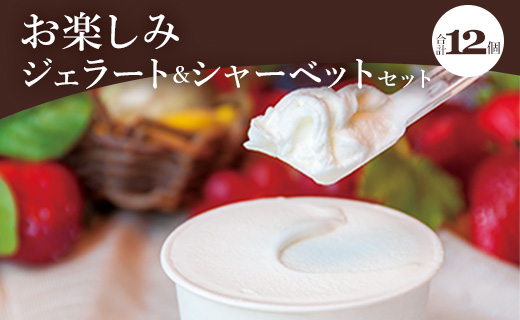 ドルチェかがみ お楽しみジェラート＆シャーベットセット 12個入り dc-0063